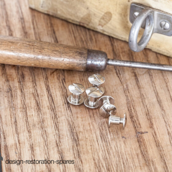 Leather Screws Poul Kjaerholm PK22